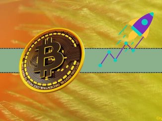 Bitcoin's Price is Pumping in the Past 24 Hours: Here's Why