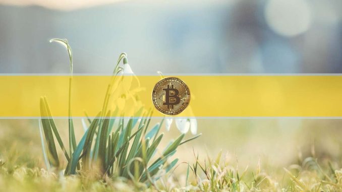 Daily Bitcoin Investors Are Up 40% In The Last 2 Years