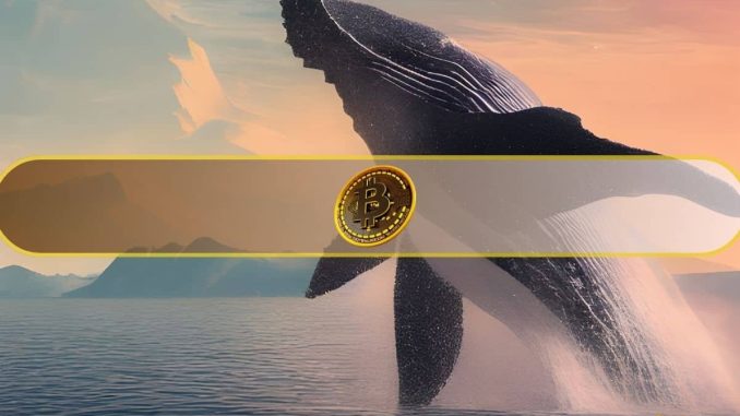 Dormant Bitcoin Whale Transfers $137 Million in BTC After 4 Years