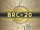 BRC-20 Token Trading Volume Skyrockets 10x Since November 2023, Kaiko Reports
