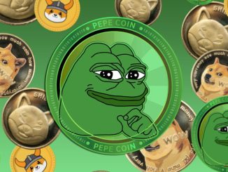 Memes Continue Run: Dogwifhat, Bonk, and Pepe Jump Double Digits