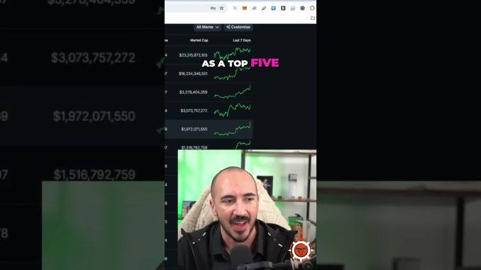 The Next Big MemeCoin