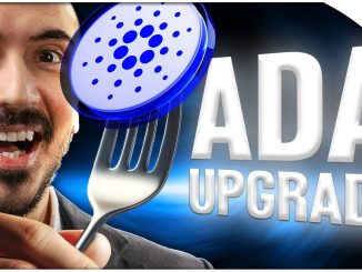 Cardano Fork EXPLAINED (Will It PUMP?)