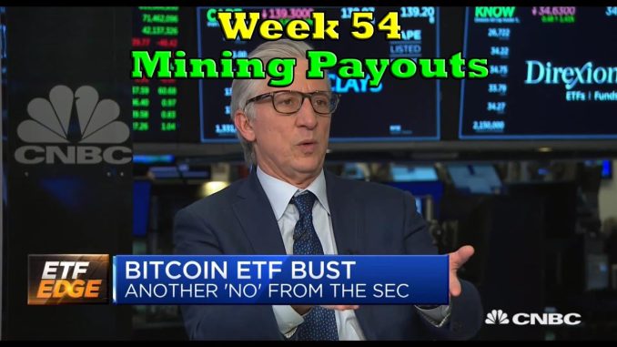 Week 54 | Mining Payouts 3/8/20 + GIVEAWAY Results!