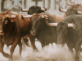 Crypto’s Comeback: Are Surging Prices Here to Stay?