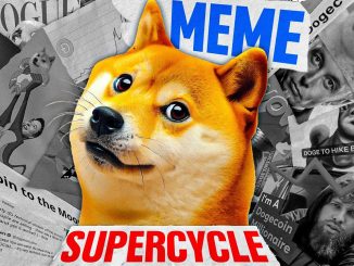 Dogecoin: The Billion Dollar MeMe (Department Of Government Efficiency)