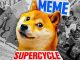 Dogecoin: The Billion Dollar MeMe (Department Of Government Efficiency)