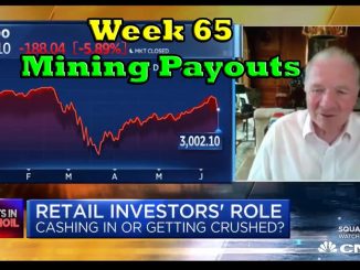 Week 65 | Mining Payouts 6/15/20