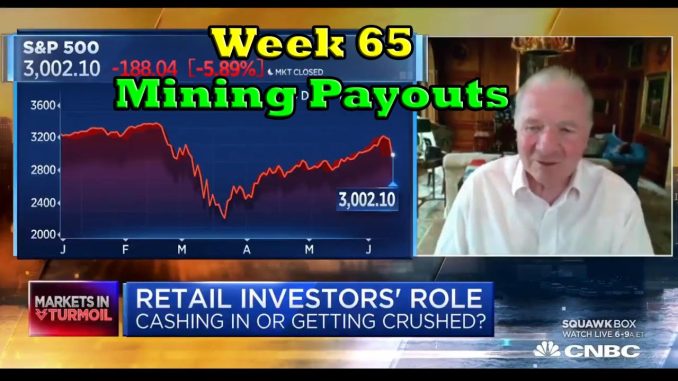 Week 65 | Mining Payouts 6/15/20