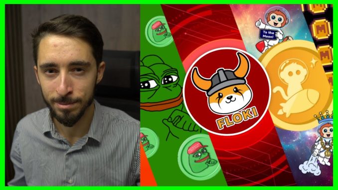 Meme Coin Rally | How $FLOKI Is The #1 Fundamental Memecoin