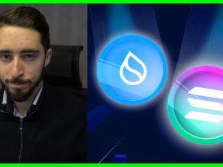 The 'Brutal' Altcoin Question | Solana, SUI or Ethereum?