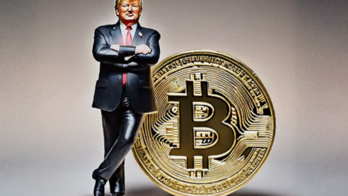 White House to Scale Back Tariffs, Bitcoin Gains on Eased Economic Jitters