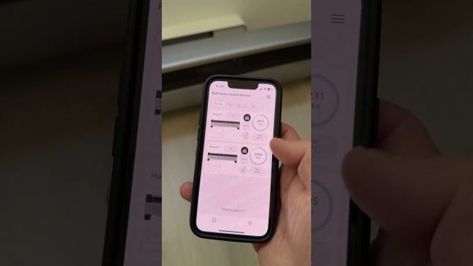 I FOUND A $1100 BITCOIN CASH SOLO BLOCK!