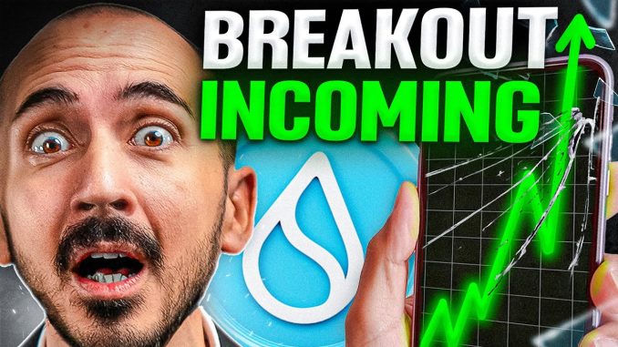 MASSIVE SUI PUMP: Next Solana? My 2025 Price Prediction!