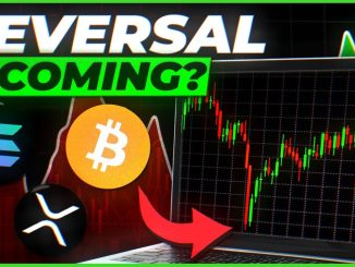 This Bitcoin Indicator Shows MAJOR Altcoin Rally Incoming!