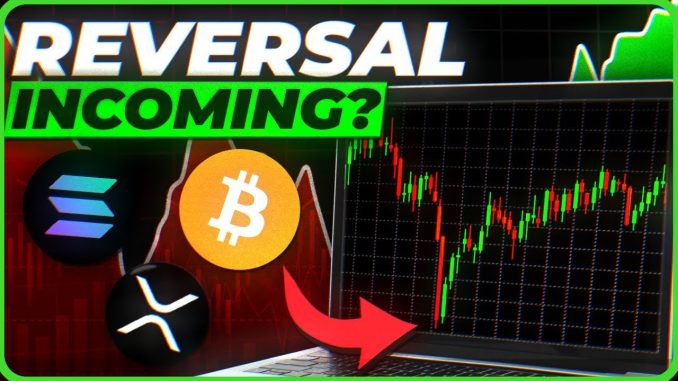 This Bitcoin Indicator Shows MAJOR Altcoin Rally Incoming!