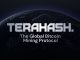 How a Game Turned Into the Largest Bitcoin Mining Protocol, Powered by 8 Million Users — The Story of TeraHash