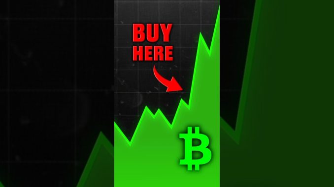 How To Catch A Crypto Bull Run 📈