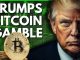 Market's SOAR As Trump Buys Bitcoin | Here's What You NEED To Know...