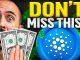 Cardano $3 Signal Flashing NOW! (Dont Miss it)