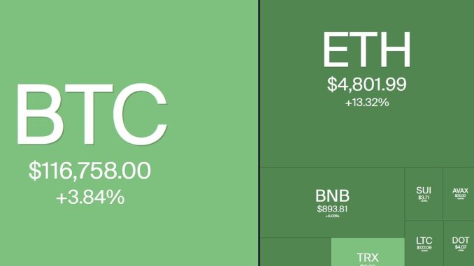 RATE CUT CRYPTO PUMP!