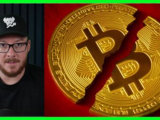 Bitcoin Crashes Overnight | What No One’s Telling You About the Bull Run