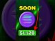 Will Solana Hit $1K? 🤑