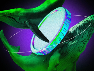 3 Altcoins Crypto Whales Are Buying Post Black Friday Crash