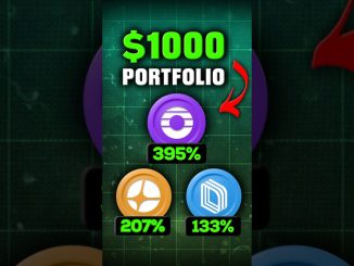 Best $1000 Perp Dex Portfolio 🤑