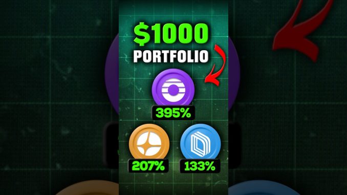 Best $1000 Perp Dex Portfolio 🤑