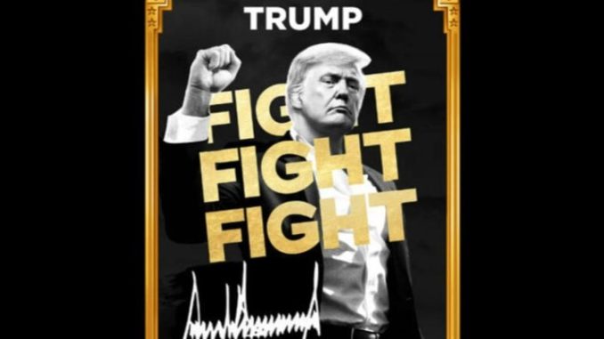 TRUMP meme coin backer eyes up to $1 billion funding for digital asset treasury