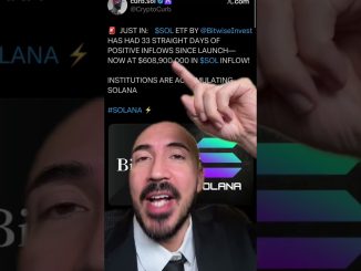 SOLANA DOWN 50%! ( Wall St. Doesn’t CARE)