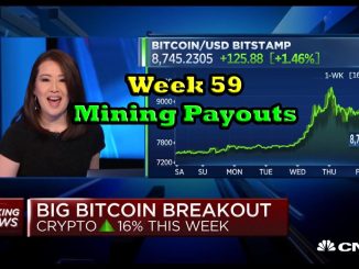 Week 59 | Mining Payouts 5/1/20