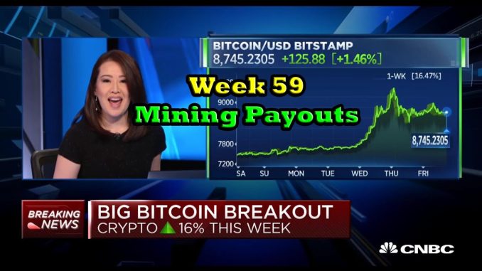 Week 59 | Mining Payouts 5/1/20