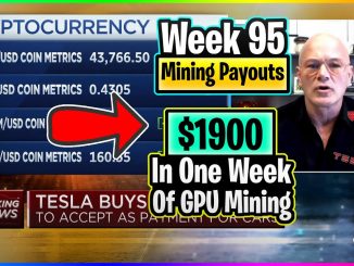 Week 95 | Mining Payouts 2/7/21