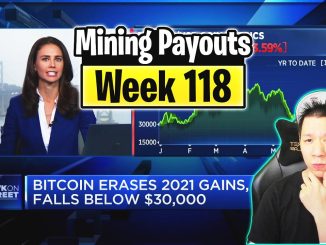 Weekly Mining Payouts 7/18/21 | Week 118