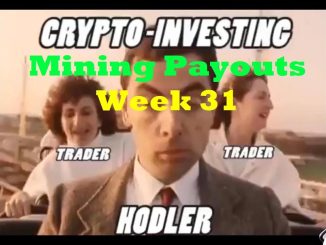 Week 31 - Mining Payouts 07/01/19
