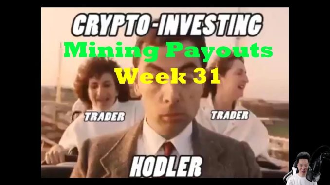 Week 31 - Mining Payouts 07/01/19