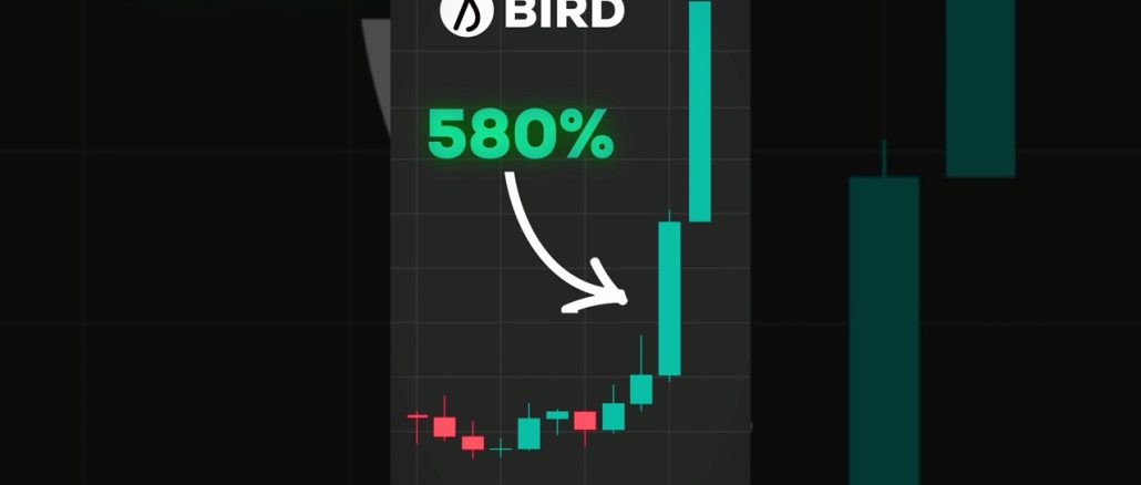 Allbirds AI Pivot is INSANE 😳