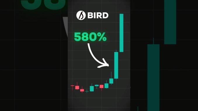 Allbirds AI Pivot is INSANE 😳