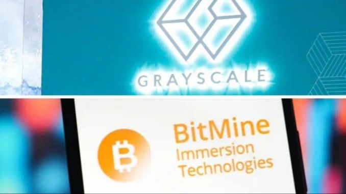 Grayscale, Bitmine stake nearly $500 million in Ethereum: On-chain data