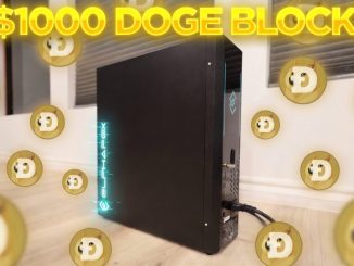 I SOLO MINED A DOGECOIN BLOCK! (Better Than Mining Bitcoin?!)