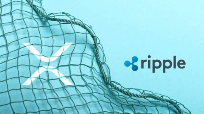 Ripple stake delivers approximately 150% return for C1 Fund in under four months