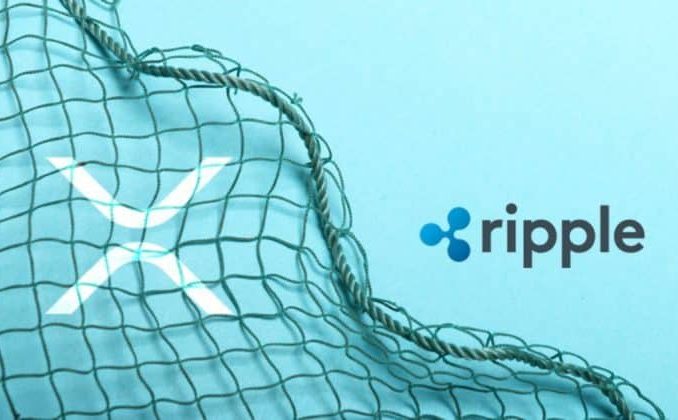 Ripple stake delivers approximately 150% return for C1 Fund in under four months