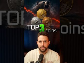 Altcoins That Survive EVERY Bear Market