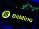 Bitmine Slows Ether Buys After Acquiring 1M ETH in 2026