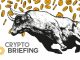 Trump expresses hope for extended Russia-Ukraine ceasefire as crypto markets react
