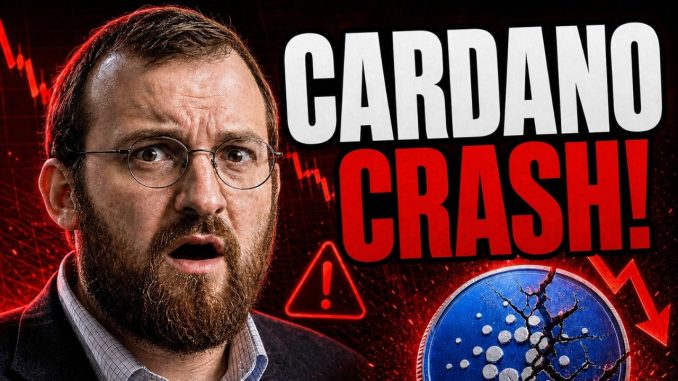 URGENT: Cardano Crash Alert